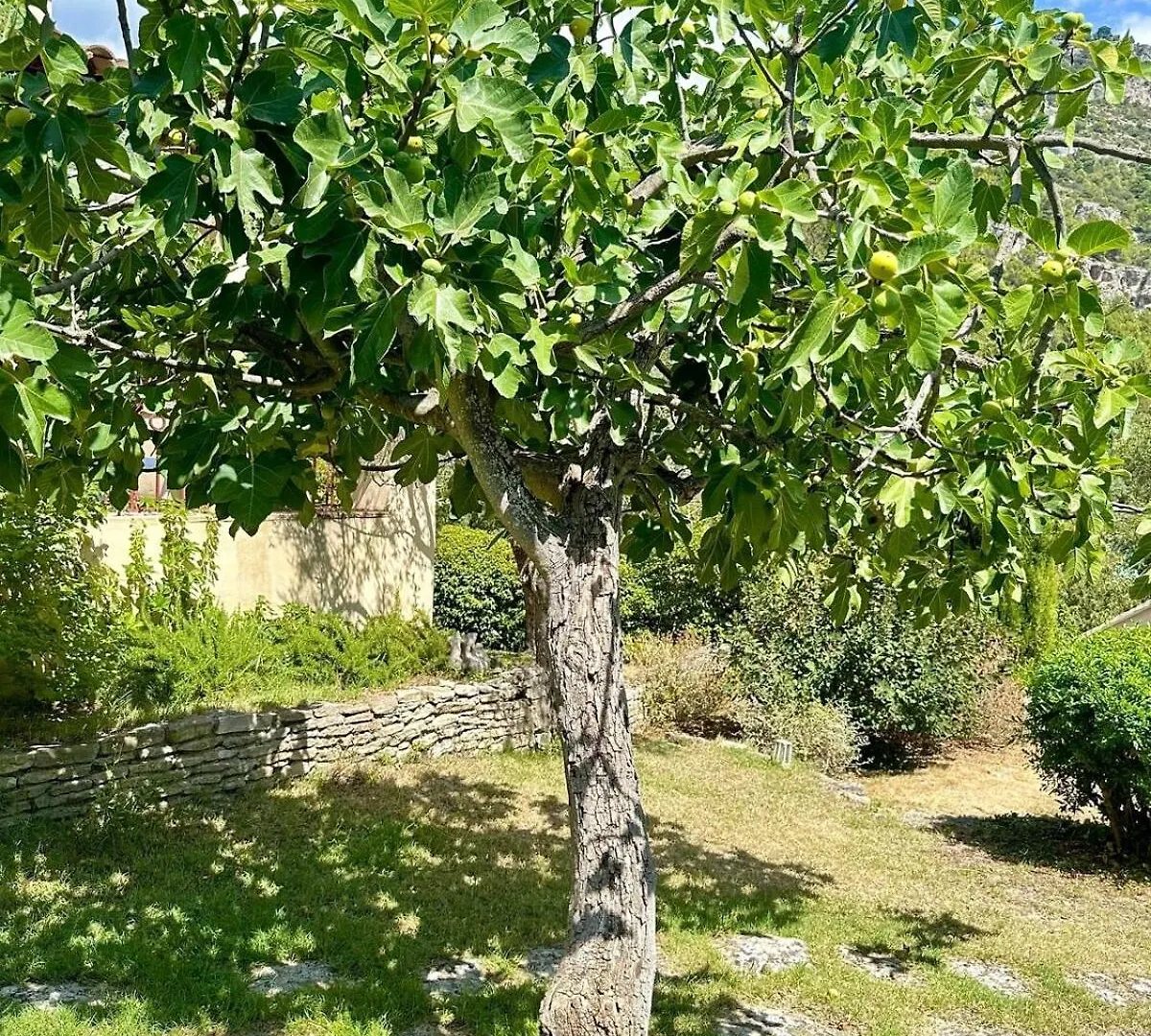 Hébergement de vacances Villa Helene In The Heart Of The Center Of Fontaine De Vaucluse
